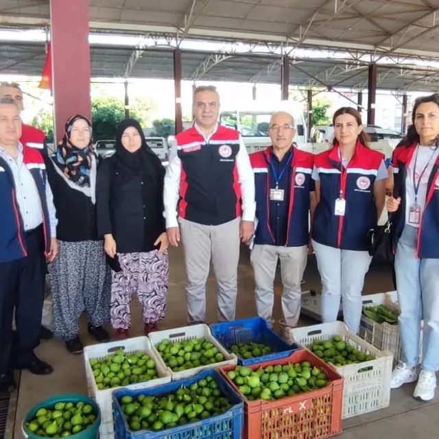 Aydın inciri için denetimler sürüyor