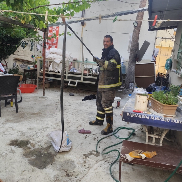 Batman'da evin bahçesine giren yılan paniğe neden oldu