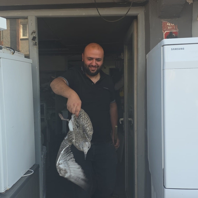 Martı yavrusu beyaz eşya tamircisini karıştırdı