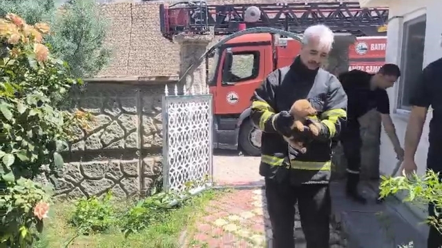 Batman'da fabrika duvarına sıkışan köpek kurtarıldı, işçiler hayvanı sahiplendi