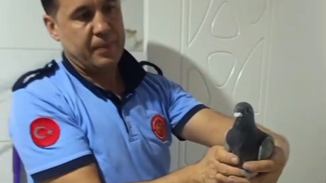 Havalandırma boşluğuna düşen güvercini itfaiyeciler kurtardı