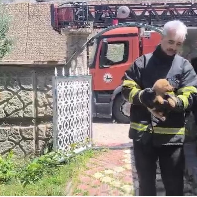 Batman'da fabrika duvarına sıkışan köpek kurtarıldı, işçiler hayvanı sahipl...