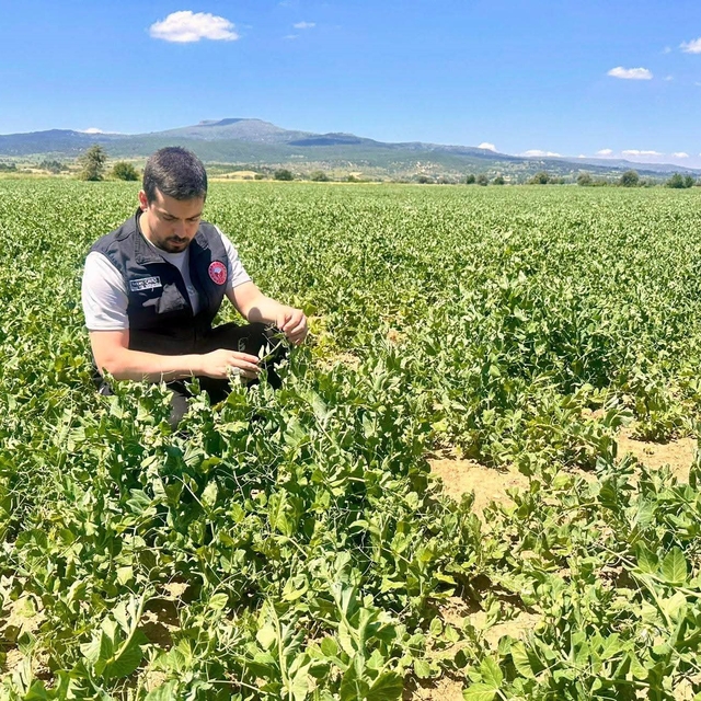 Planlı tarımsal üretim için saha çalışmaları sürüyor