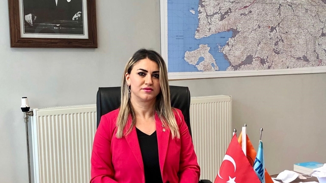Türkiye'de 215 yeni diri fay keşfedildi
Diri fay sayısı 485'ten 700'e yükseldi