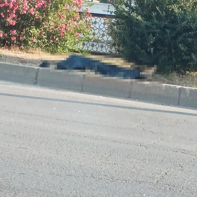 Adana'da minibüsün çarptığı yaya hayatını kaybetti