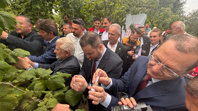 Trabzon'da kahverengi kokarcaya karşı doğal ordu göreve başladı