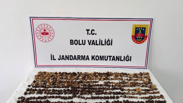 Bolu'da yabani salep toplayan 3 kişiye rekor ceza: 2 milyon 97 bin TL