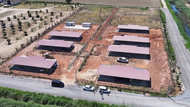 Efeler Belediyesi'nden sokak hayvanları için yeni yaşam alanı