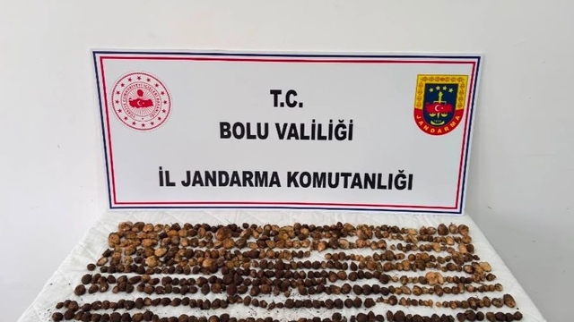 Yabani salep toplayan 3 kişiye 2 milyon 97 bin TL ceza