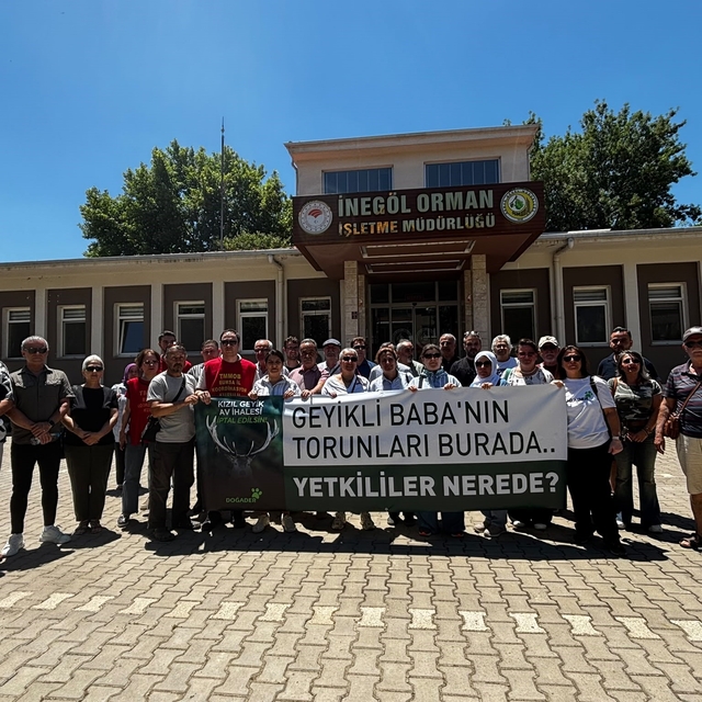 İnegöl'de DOĞADER'den kızıl geyik ihalesine tepki: "Katliam kararı geri çek...