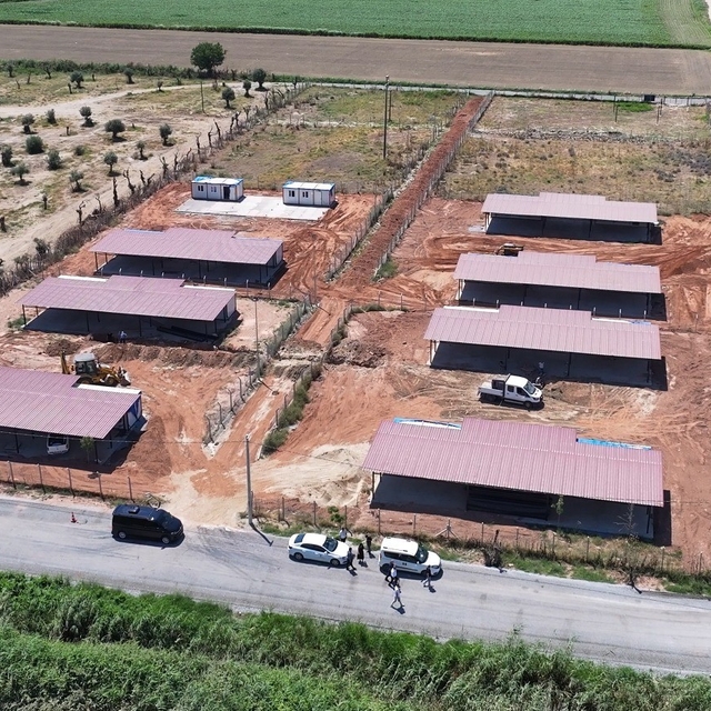 Efeler Belediyesi'nden sokak hayvanları için yeni yaşam alanı