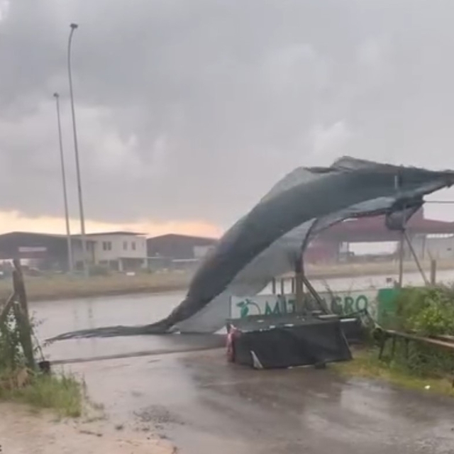 Adana'da kuvvetli rüzgar ve yağış ekili oldu, seralar zarar gördü