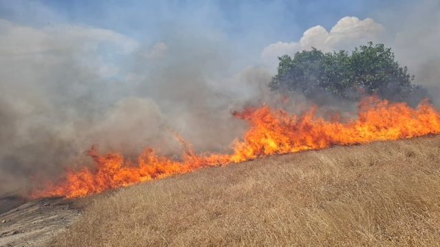 Galeri