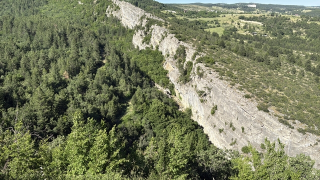 Galeri