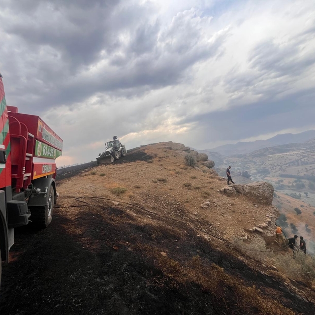 Diyarbakır'da çıkan anız ve orman yangınları söndürüldü
