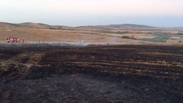Buğday tarlasında çıkan yangın ekiplerin müdahalesiyle söndürüldü