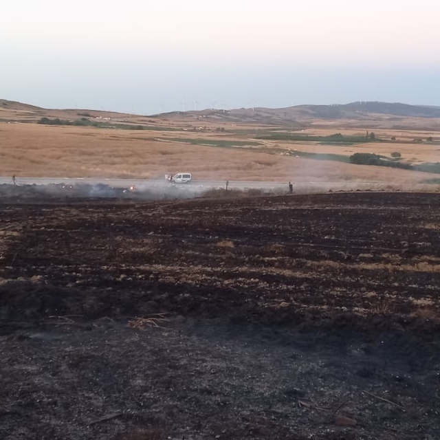 Buğday tarlasında çıkan yangın ekiplerin müdahalesiyle söndürüldü