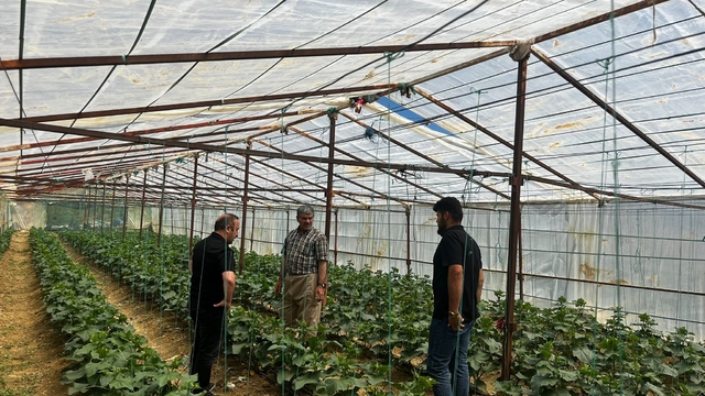 Yüksekova Tarım ve Orman Müdürlüğü ekiplerinden çiftçilere saha desteği