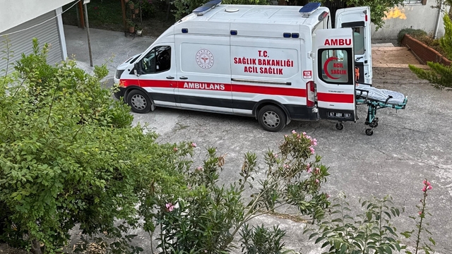 Dut toplarken ağaçtan düşüp yaralandı