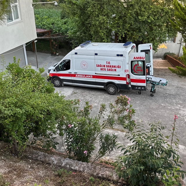 Dut toplarken ağaçtan düşüp yaralandı