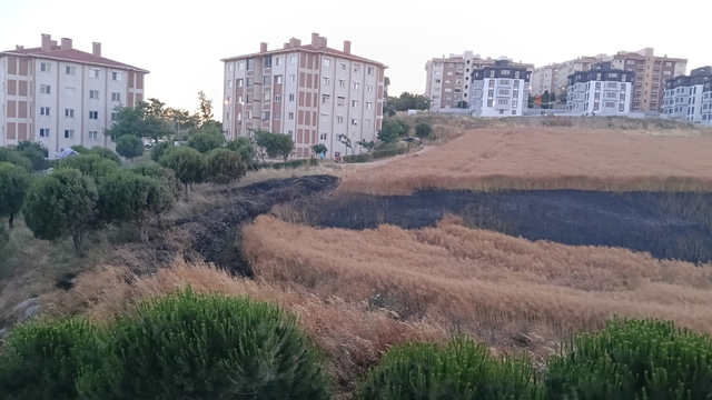 Bandırma'da buğday tarlası yangını korkuttu
