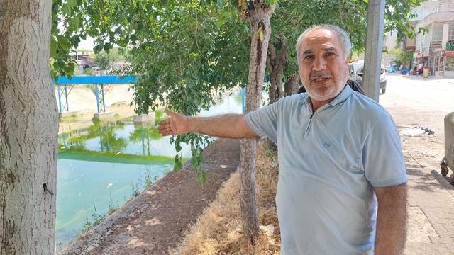 Adana'da sivrisinek istilasına vatandaş tepkisi: "Çocuklarımız yara içinde kaldı"