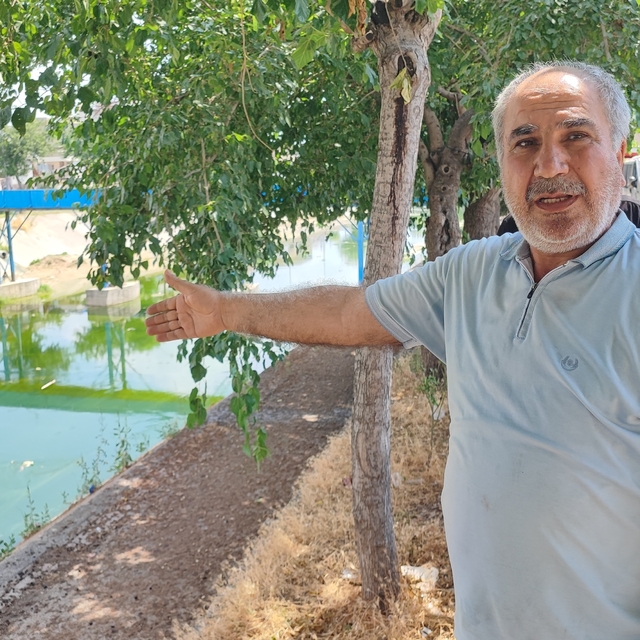 Adana'da sivrisinek istilasına vatandaş tepkisi: "Çocuklarımız yara içinde...