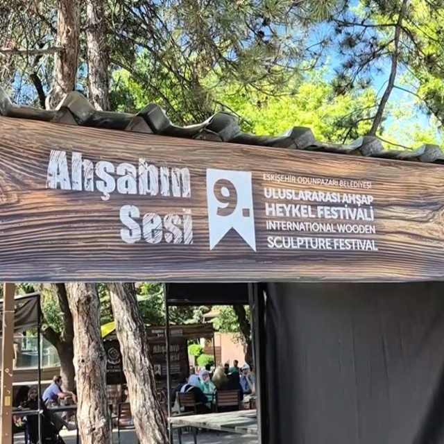 Odunpazarı 9. Uluslararası Ahşap Heykel Festivali beklentilerin gerisinde k...