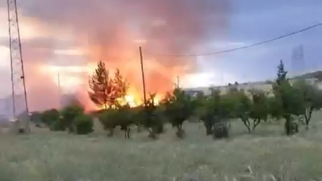 Elektrik direğinden çıktığı iddia edilen yangın buğday tarlasını küle çevirdi