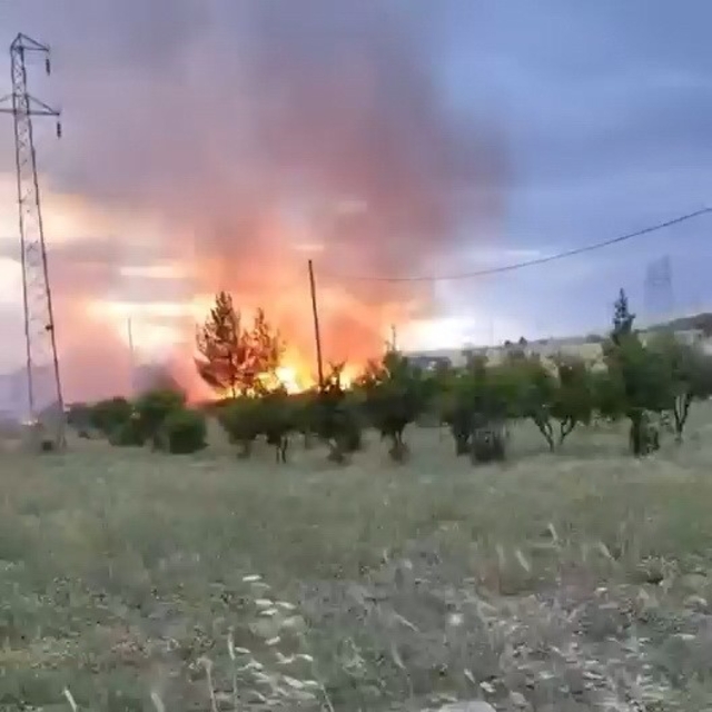 Elektrik direğinden çıktığı iddia edilen yangın buğday tarlasını küle çevir...