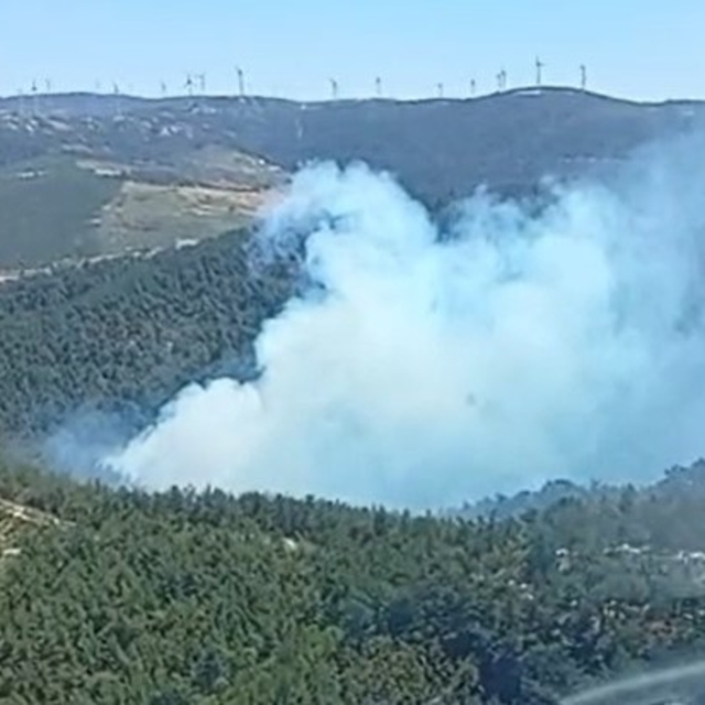 Soma'daki orman yangınına havadan ve karadan müdahale başladı