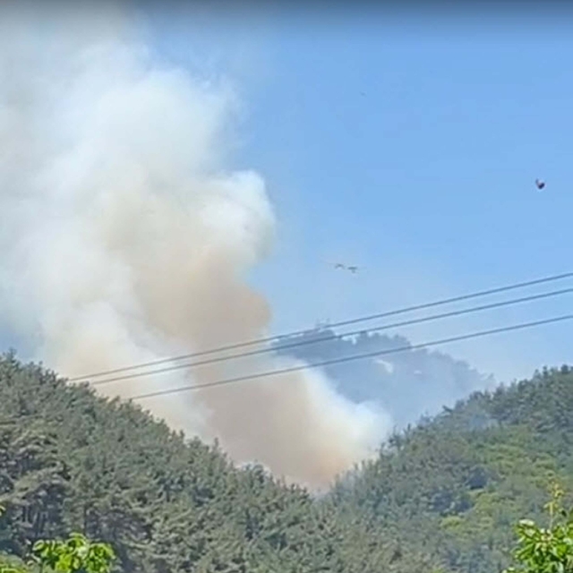 Manisa'da orman yangını