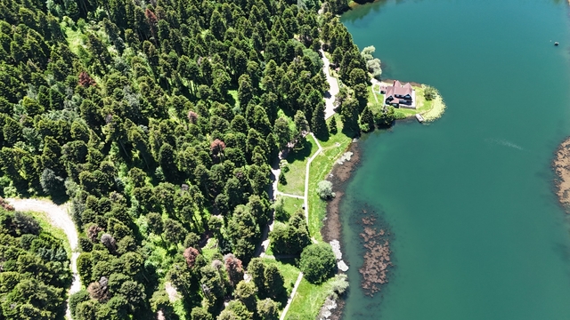 Gölcük'te çam ormanları dronla görüntülendi