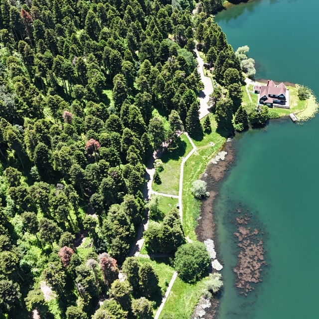 Gölcük'te çam ormanları dronla görüntülendi