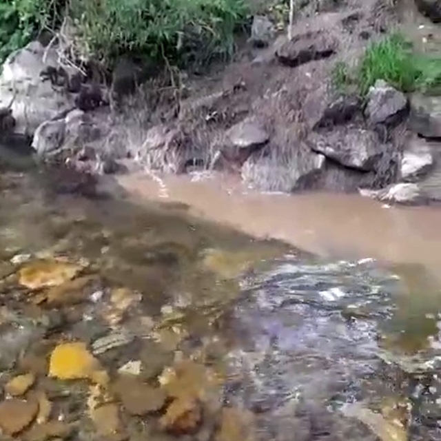 Bolu'da kanalizasyon sularının dereye karışmasına tepki