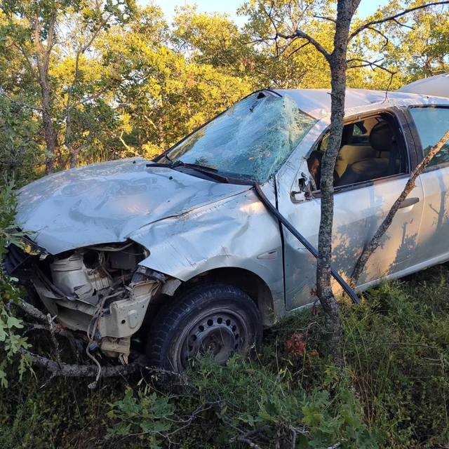 Uşak'ta ağaçlara çarpan otomobildeki sürücü öldü, eşi yaralandı