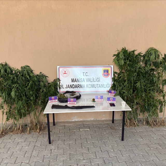 Uyuşturucu üretimi için ormanda kenevir yetiştirdiği fotokapanla belirlenen...