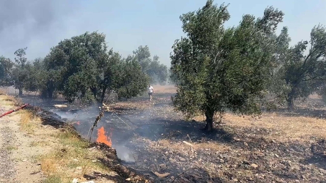 Edremit'te çöplükte çıkan yangın, tarım arazilerine sıçradı