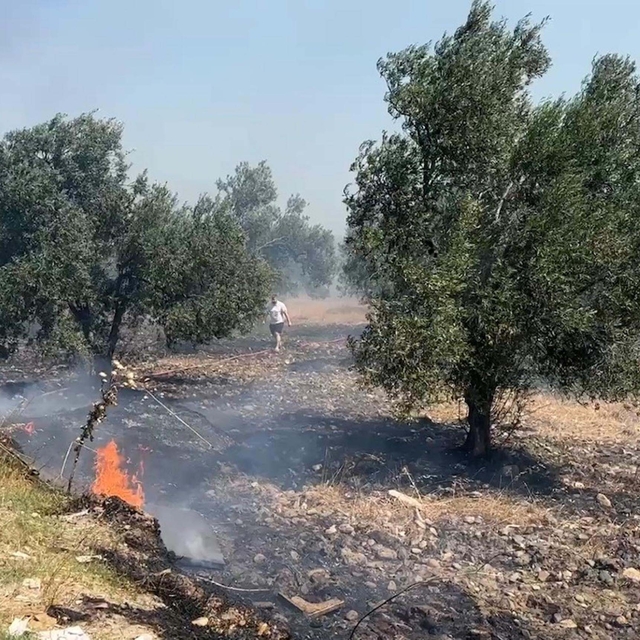 Edremit'te çöplükte çıkan yangın, tarım arazilerine sıçradı