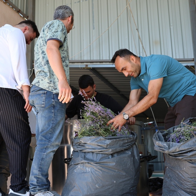 Lavanta üreten kadın kooperatifine katma değer desteği