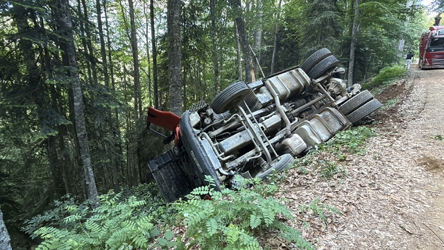 Orman yolunda devrilen TIR'ın sürücüsü yaralandı