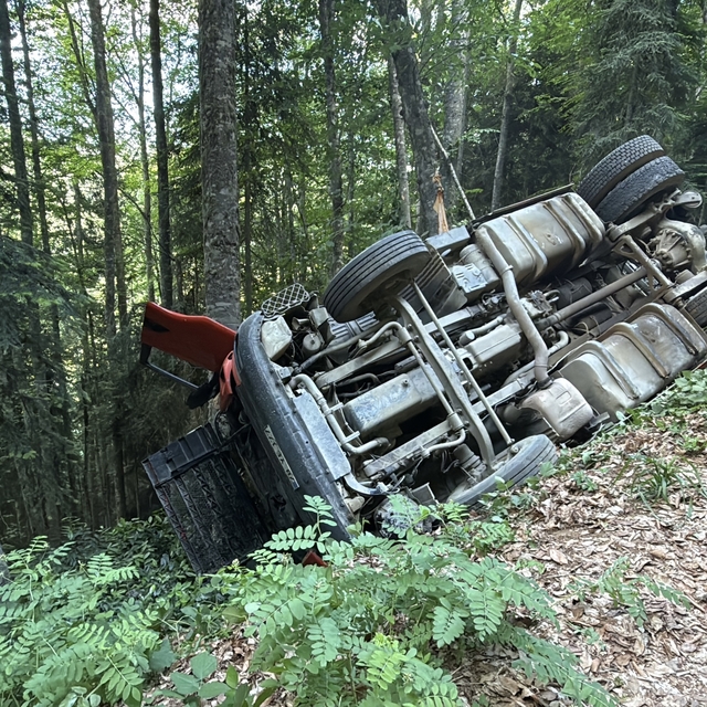 Orman yolunda devrilen TIR'ın sürücüsü yaralandı