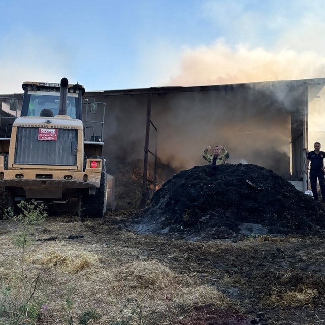 Bursa'da çiftlik yangınında 4 büyükbaş hayvan öldü
