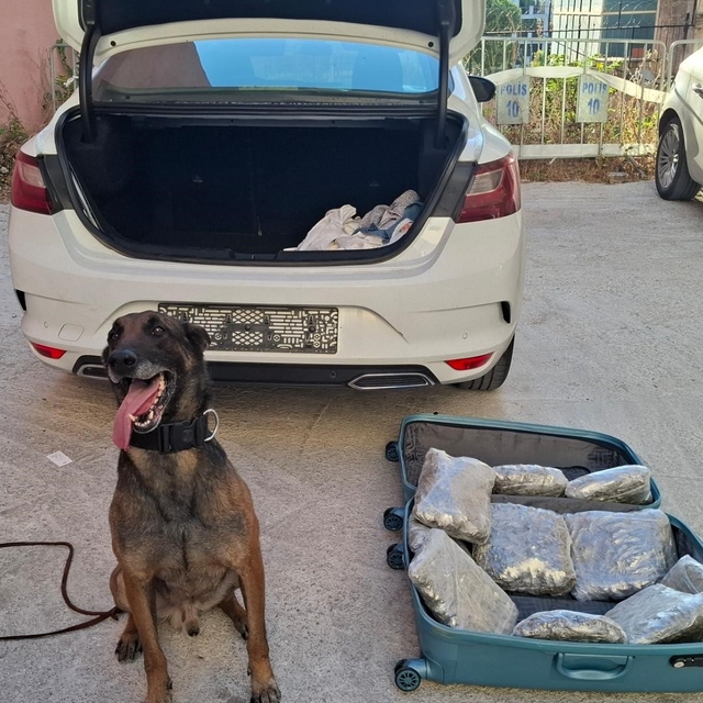 Balıkesir polisinden 'Narkorekor'
Narkotik ekipleri tarihi bir operasyona i...