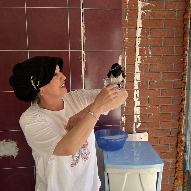 Yaralı bulduğu yavru saksağan kahvaltı arkadaşı oldu
