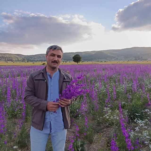 Tarlalar mora boyandı, çiçekler resim tablosunu andırdı