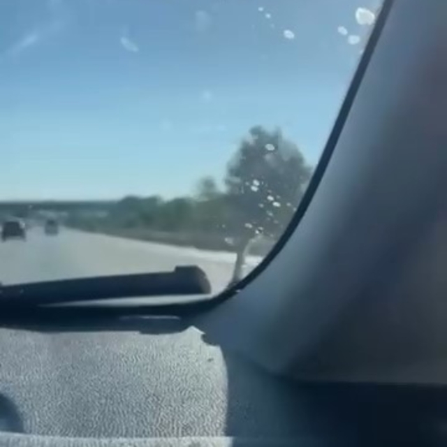 Seyir halindeki aracın kaputunda yılan paniği