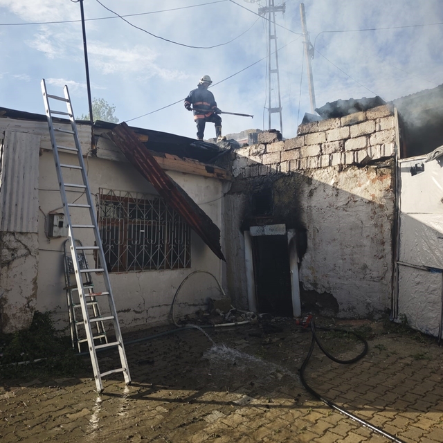 Van'da odunluk yangını