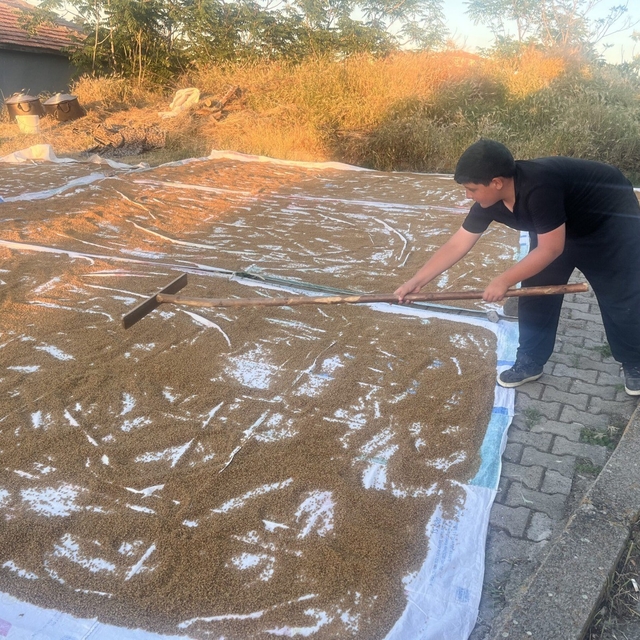 Çiçekdağı ilçesinde geleneksel bulgur yapımı başladı