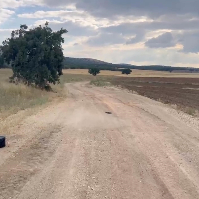 Eskişehir'de kaybolan gebe inek dron ile aranıyor
Bütün teknolojik seferber...